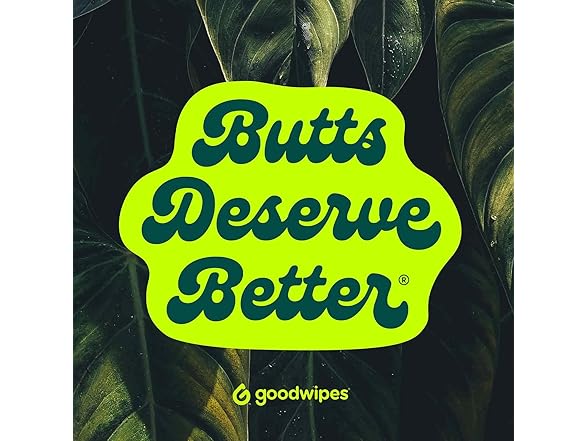 Goodwipes Flushable Butt Wipes Cedar 60ct