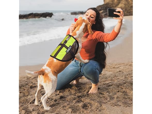 Dogline Service Dog Vest, 13 by 16-In, Lime