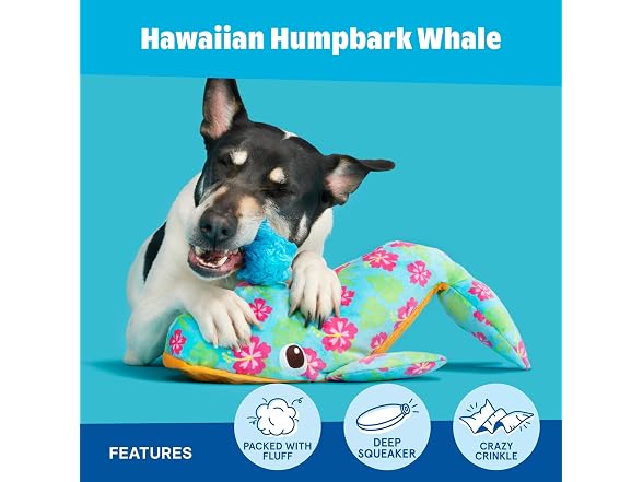 BarkBox Hawaiian Humpbark Whale Dog Toy - Gallery 3