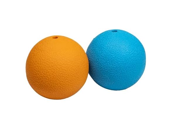 Amazon Basics Squeaker Toy Dog Balls, 2PK