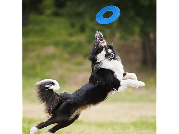 Nerf Dog Tire Flyer Outdoor Dog Toy