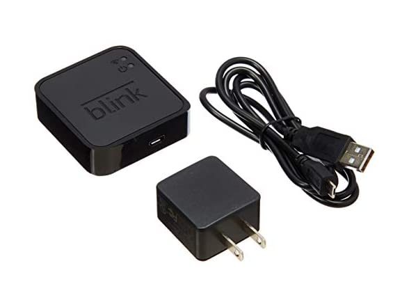 Blink sync hot sale module