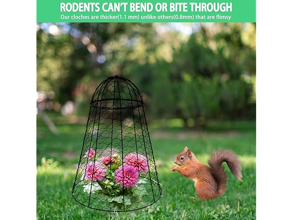 Sapbontchi XL Garden Cloches 6-Pack