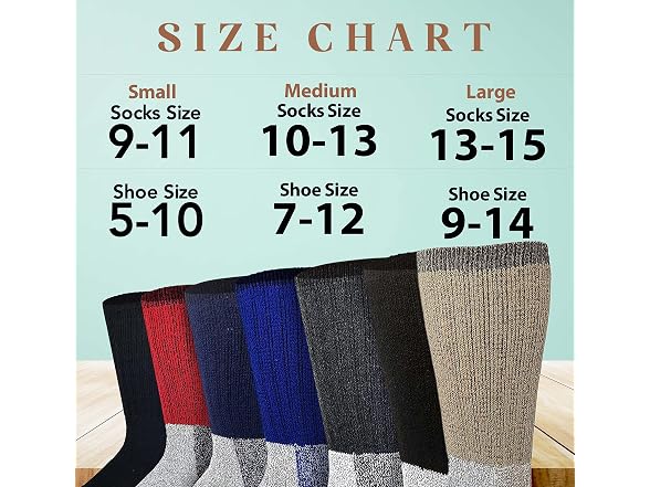 Debra Weitzner Women (10-13) Thermal Socks Socks