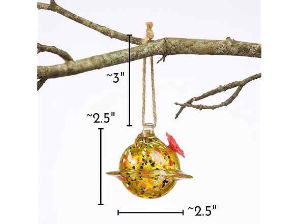Red Carpet Studios Hummingbird Feeder Glass