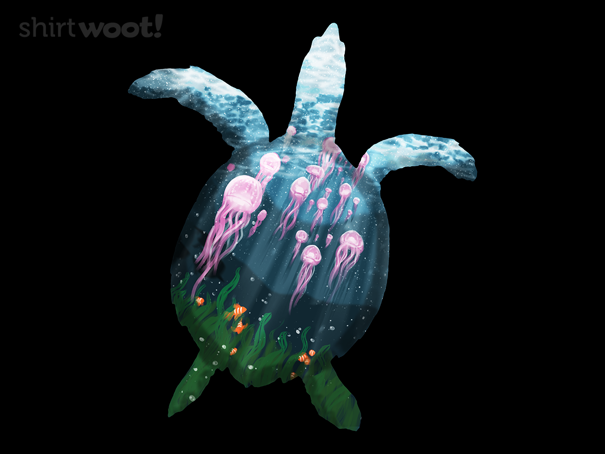 Sea Turtle - Gallery 4