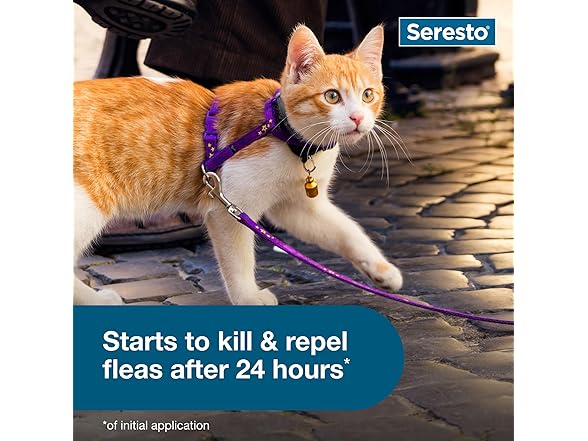 Seresto Cat Vet-Recommended Flea & Tick Treatment