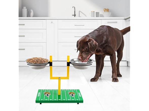 JAGUARS Dog Bowl Feeder