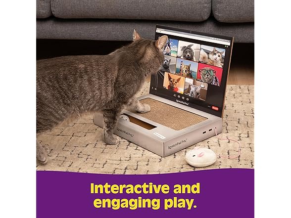 WHAT DO YOU MEME? Laptop Cat Scratcher