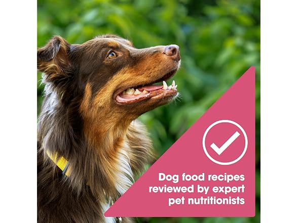 Salmon Dry Dog Food 34lb