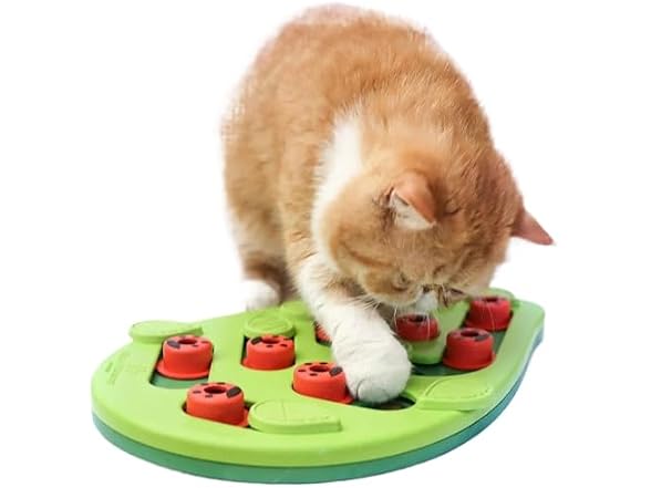 RXJPASD Cat Treat Puzzle and Scratch Board Combo Toy