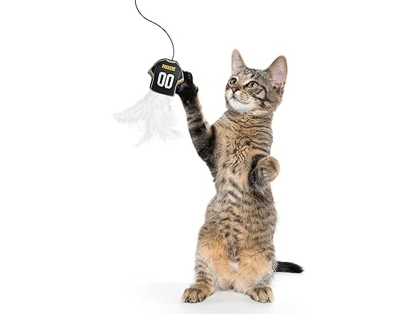 NFL Green Bay Packers Team Jersey Wand with CAT NIP