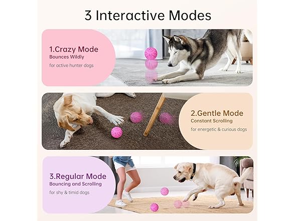 Interactive Dog Toys