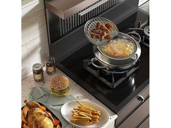 Kerilyn 9.4 Inch Deep Fryer Pot