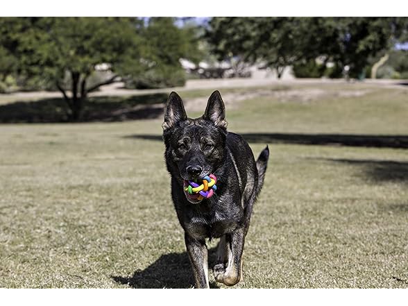 Multipet Multi Pet Nobbly Wobbly Dog Rubber Ball-Medium,