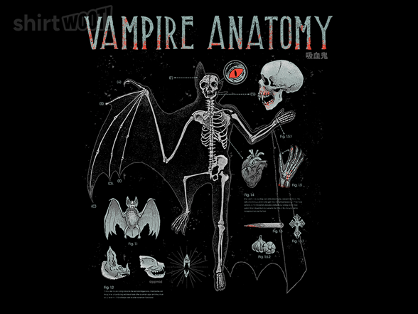 Vampire Anatomy