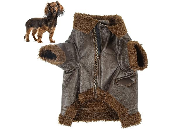 Pet Leather Jacket, Wear and Water Fashionab