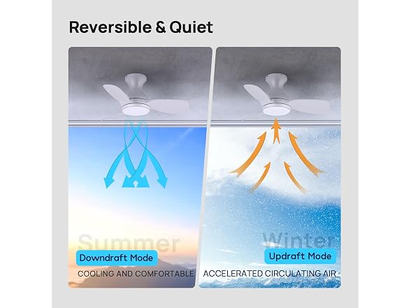Consciot Ceiling Fan With Lights 30 Inch