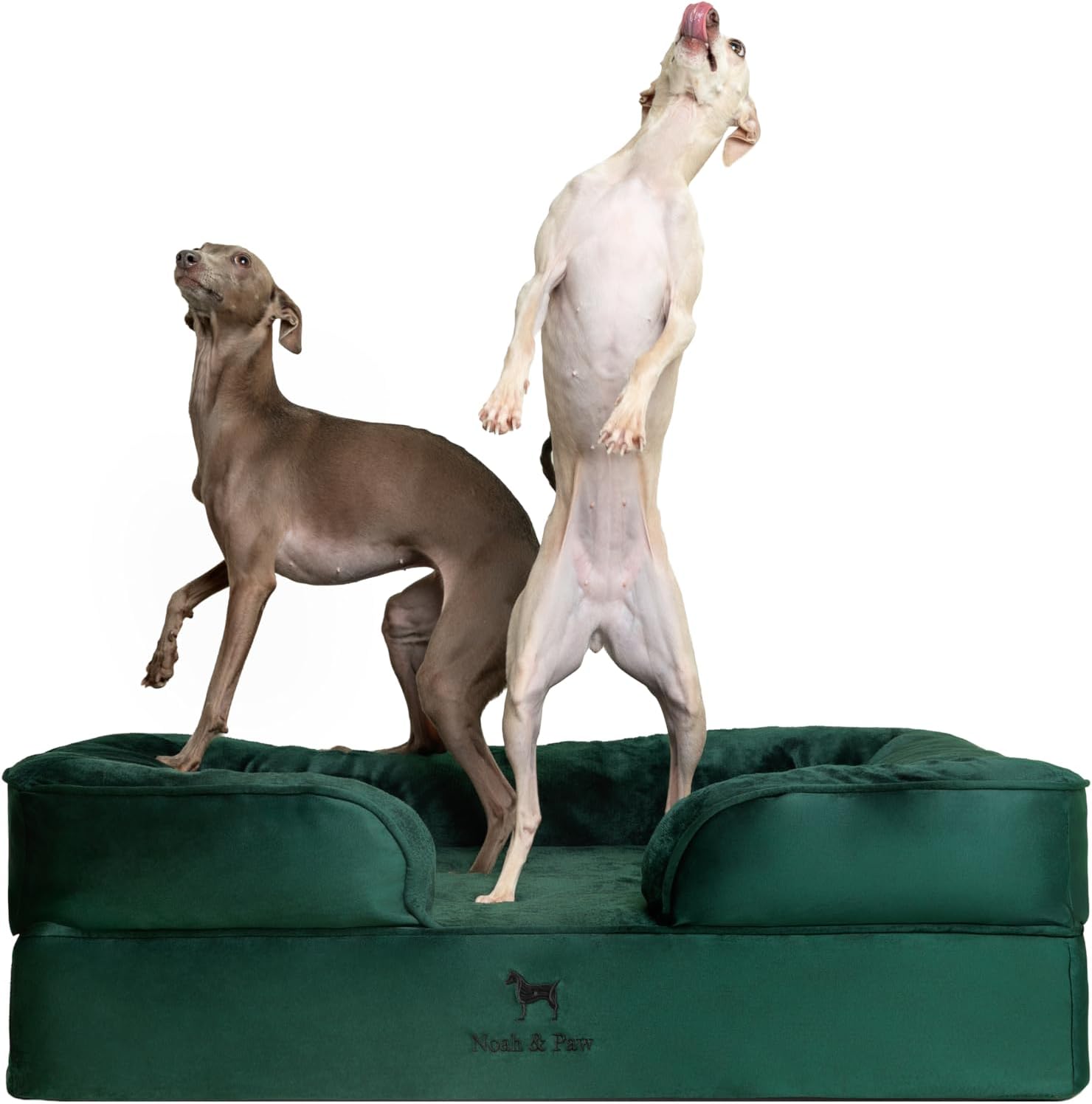 NOAH & PAW Dog/Cat Sofa- Large - Gallery 16