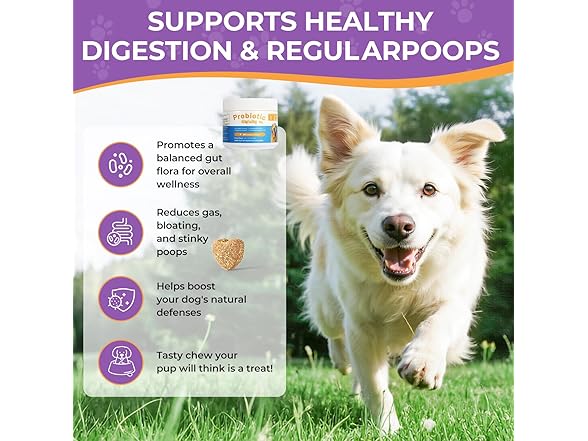 HAPWAG Dog Allergy and Immune Relief Chews