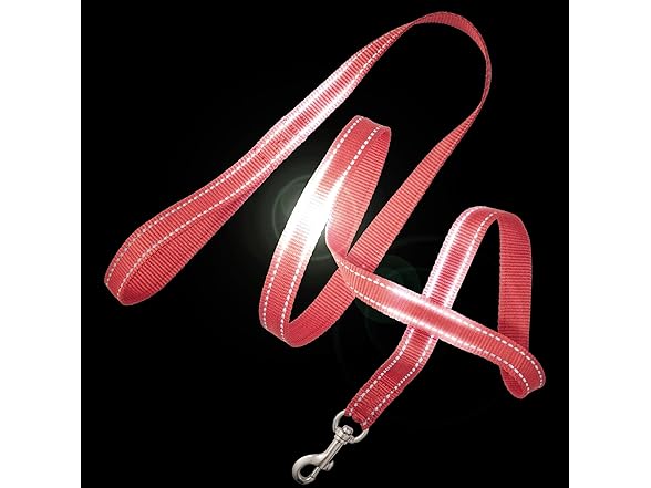 Pet Passion Max II - 2-Pack Reflective Leash & Collar