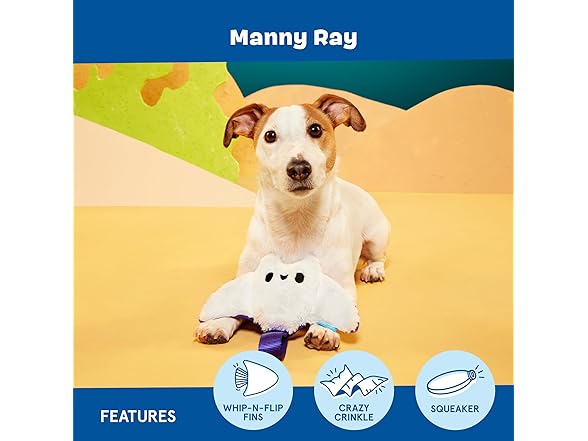 Barkbox Manny Ray Dog Toy | Plush