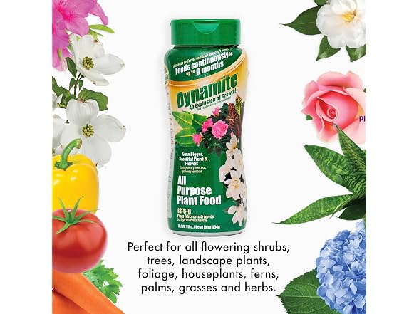 Dynamite All Purpose Plant Food 1-Pound