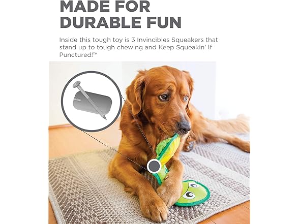 Outward Hound Fire Biterz Turtle Toy