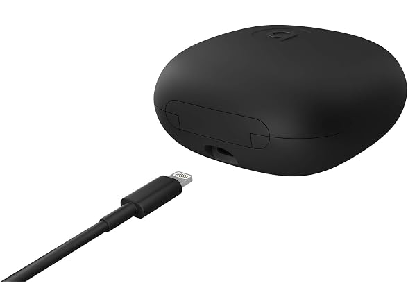 Beats Beats Powerbeats Pro Wireless Earbuds -