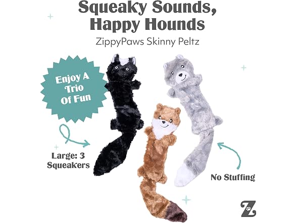 Skinny Peltz Trio - Gallery 3