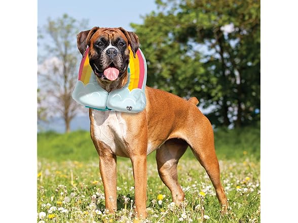 Rainbow Inflatable Dog Recovery Collar