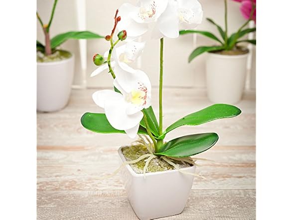 Restaurantware Faux Fiore White Orchid