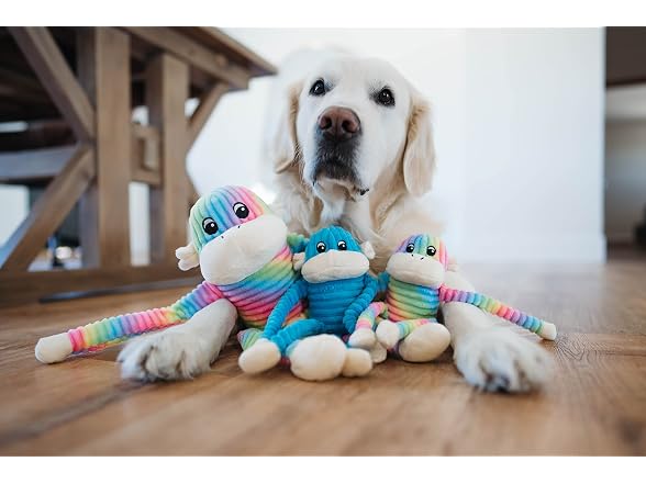 Crinkle Monkey - Gallery 5