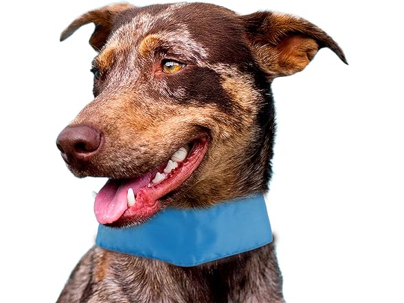 Pet Life ® Summer-Cooling' Insert Able a