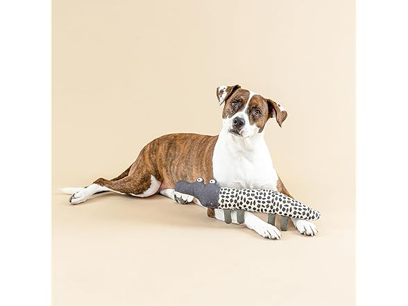 Fringe Studio "Croc My World Canvas Dog Toy