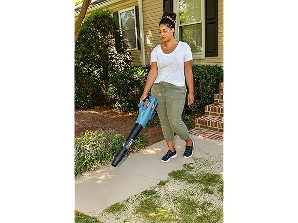 SENIX X5 58 Volt Max Handheld Cordless Leaf Blower