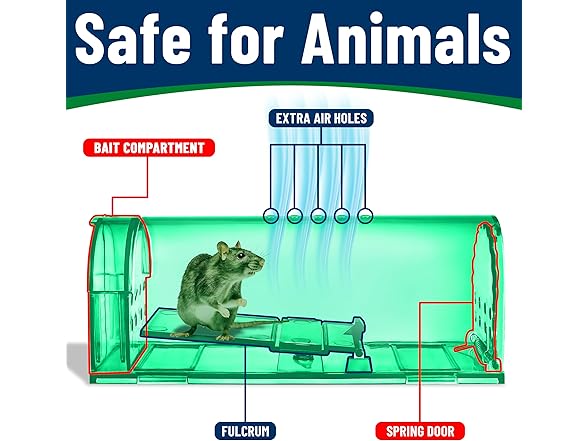 Campior Humane Mouse Trap for House