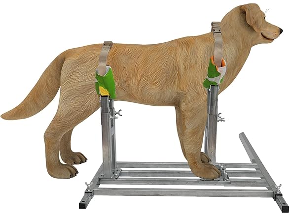Dog Breeding Stand Stainless Steel Dog Breed