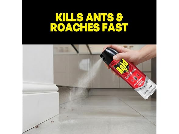 Raid GAR-95 Ant & Roach Killer, 2 Count