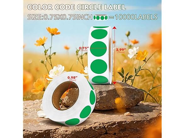 WANSTE 0.75" Sticky Tags Green 10000pc