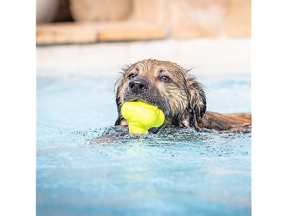 Hyper Pet Throwing Bumpy Ball Dog Toy