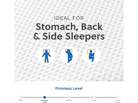 Signature Design King 12" Plush King Gel Foam Mattress