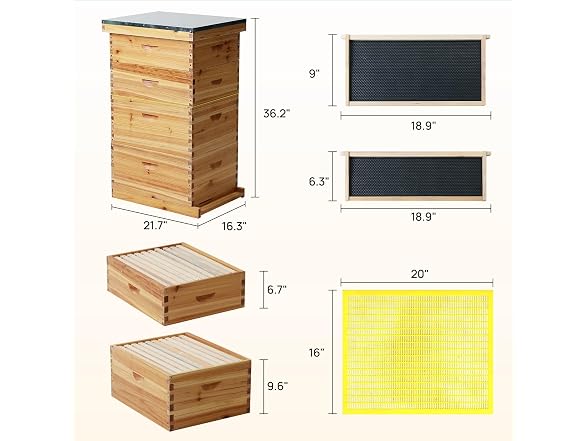 Walsport 10-Frame Langstroth Bee Hive