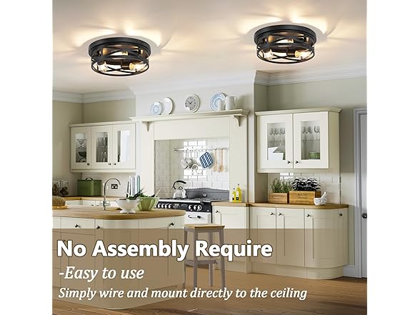 Bosceos B0DHH1HP3L 13 Inch Ceiling Light 2-Pack