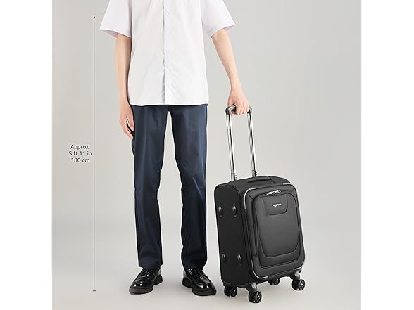 Amazon Basics 17" Carry-On Softside Luggage