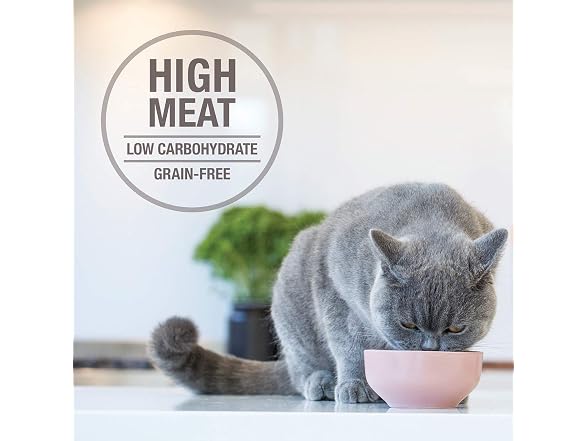 NATURAL Cat Food Lamb And Salmon Can,