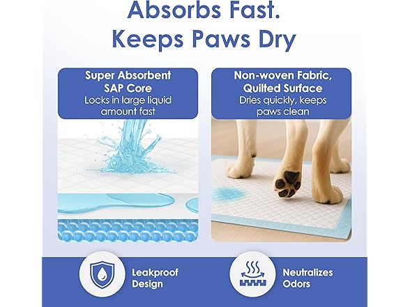 American Kennel Club Scented Puppy Training Pads