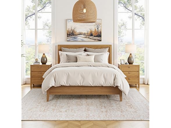 RUGVIGO Area Rug 5x7