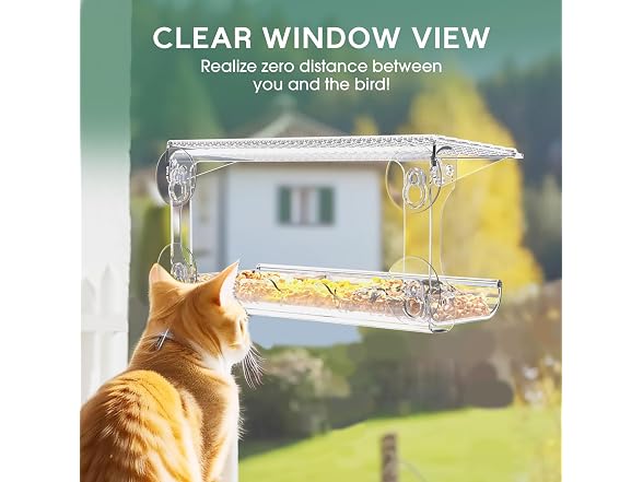 Clear Window Bird Feeder