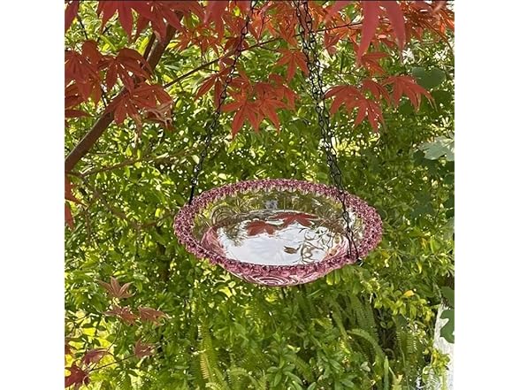 Outdoor Hanging Bird Feeder